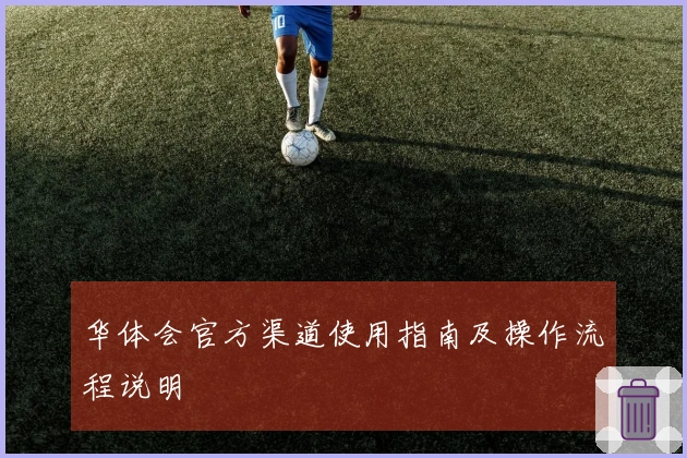 华体会官方渠道使用指南及操作流程说明